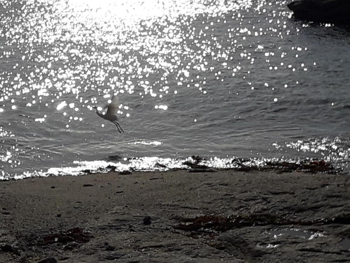Appartement Proche De La Mer Guilvinec Zewnętrze zdjęcie